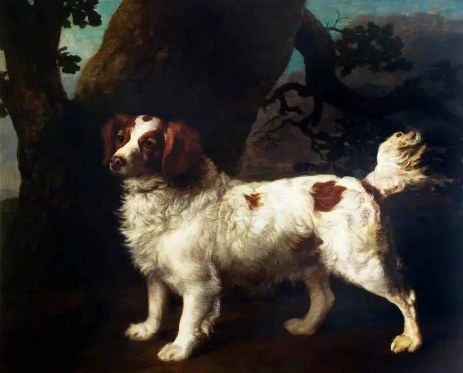 Un Clumber Spaniel - George Stubbs image 1 copie de tableau peinte à la main