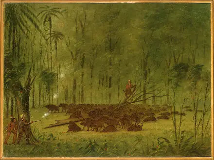 Un combat avec des pécaris - Caraïbes - George Catlin image 1 copie de tableau peinte à la main