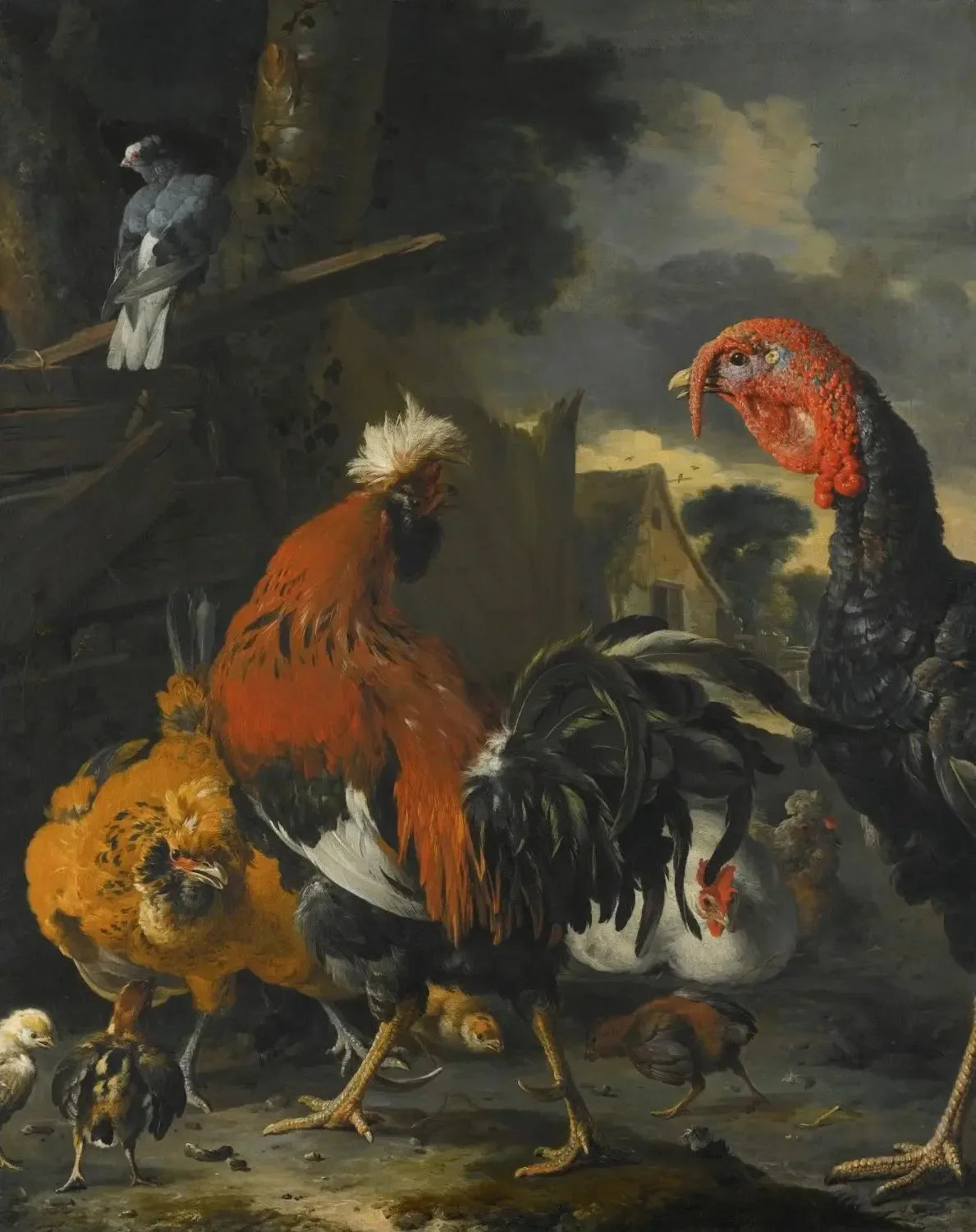 Un coq, une dinde, des poules et des poulets dans une basse-cour - Melchior de Hondecoeter image 1 tableau peint à l’huile sur toile