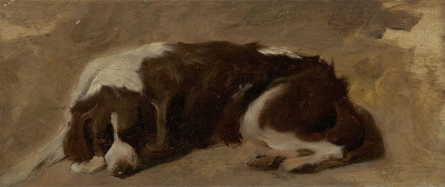 Un épagneul couché - Edwin Henry Landseer