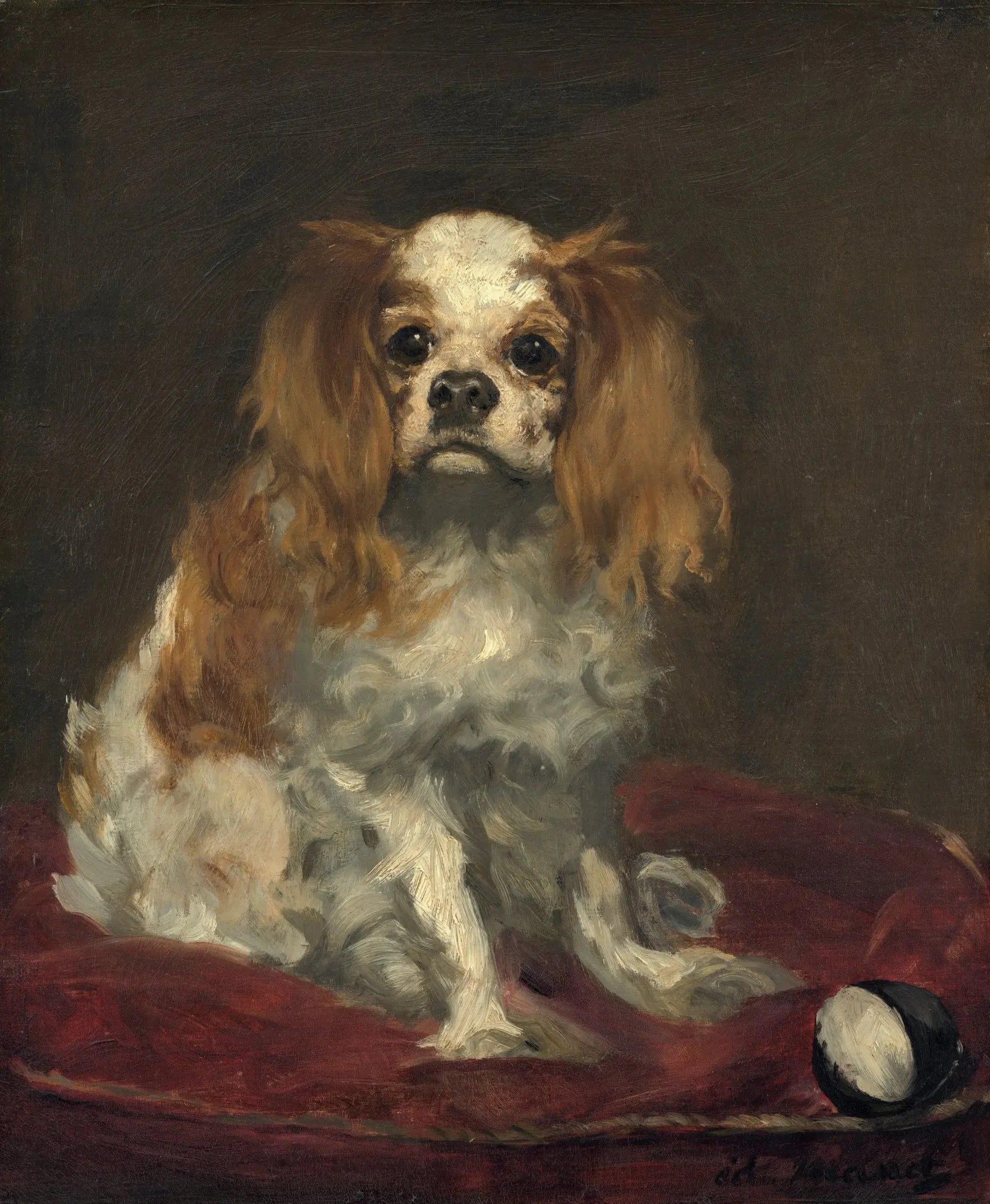 Un épagneul King Charles - Édouard Manet image 1 reproduction de peinture à l’huile
