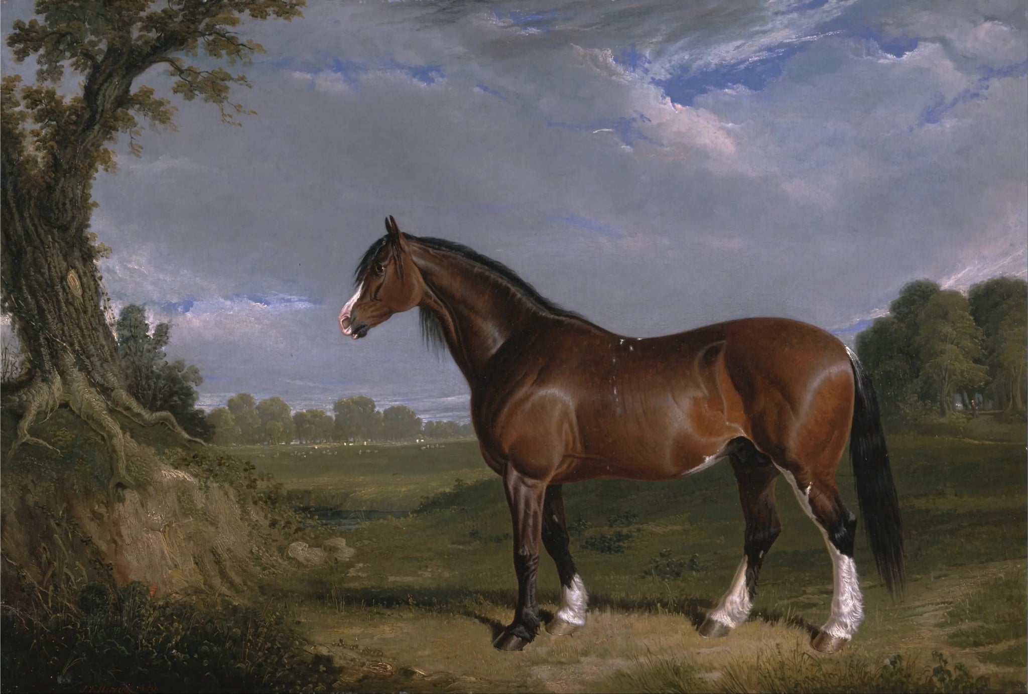 Un étalon Clydesdale - John Frederick Herring, Sr. image 1 tableau peint à l’huile sur toile