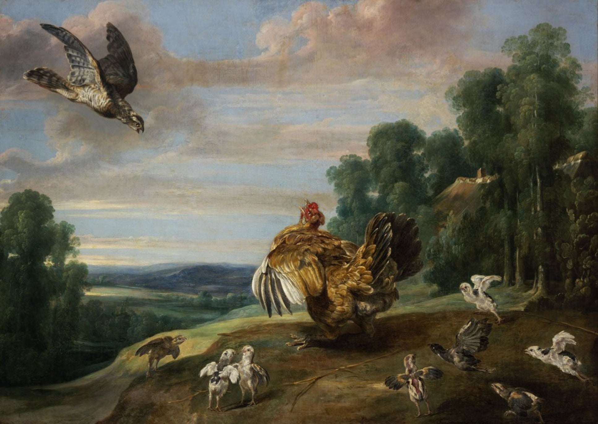 Un faucon et une poule couveuse - Frans Snyders image 1 copie de tableau peinte à la main