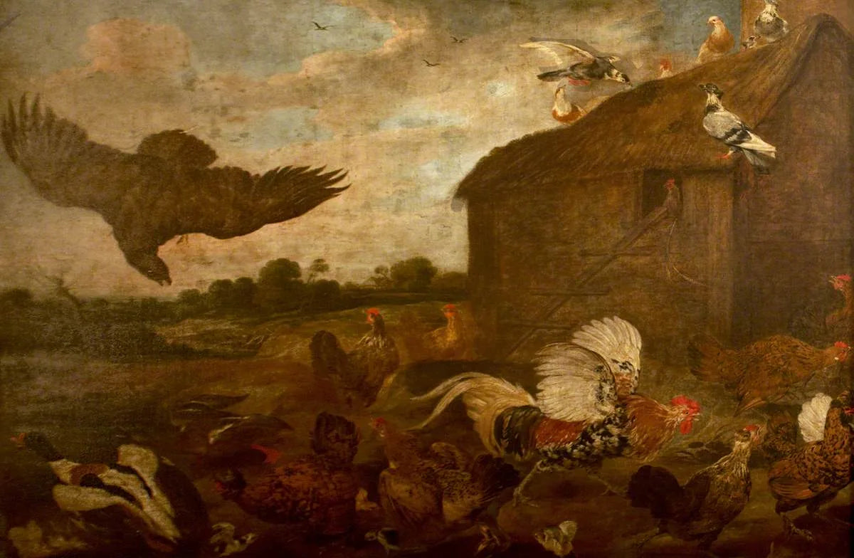 Un faucon fondant sur une volaille - Frans Snyders image 1 reproduction réalisée par Alpha Reproduction