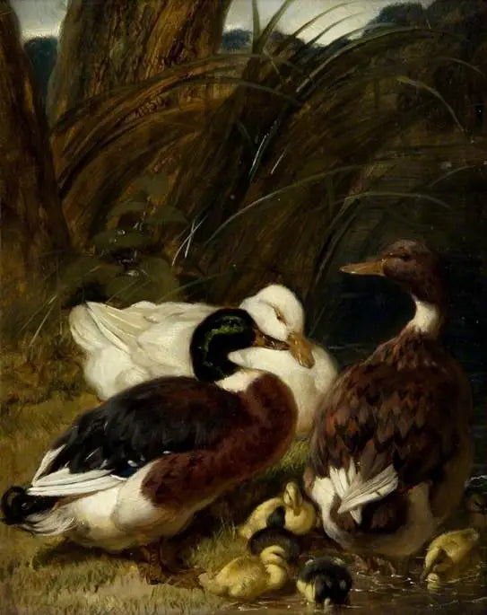Un groupe de canards - John Frederick Herring, Sr. image 1 tableau peint à l’huile sur toile