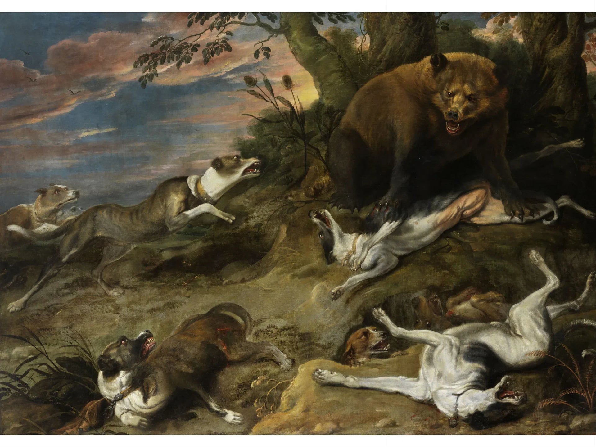 Un lévrier chasse un ours - Frans Snyders image 1 copie peinte à la main à l’huile