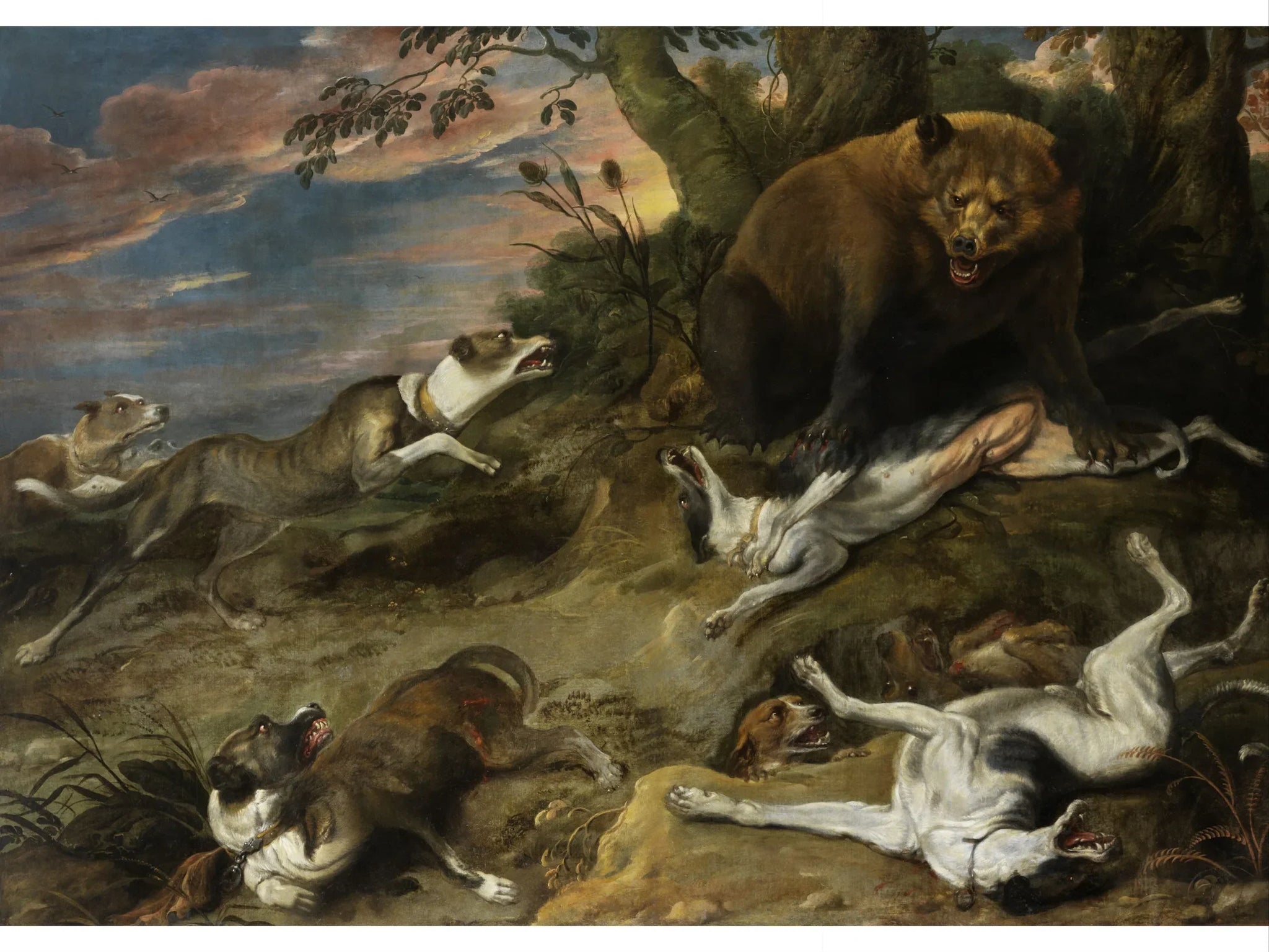 Un lévrier chasse un ours - Frans Snyders image 1 copie peinte à la main à l’huile