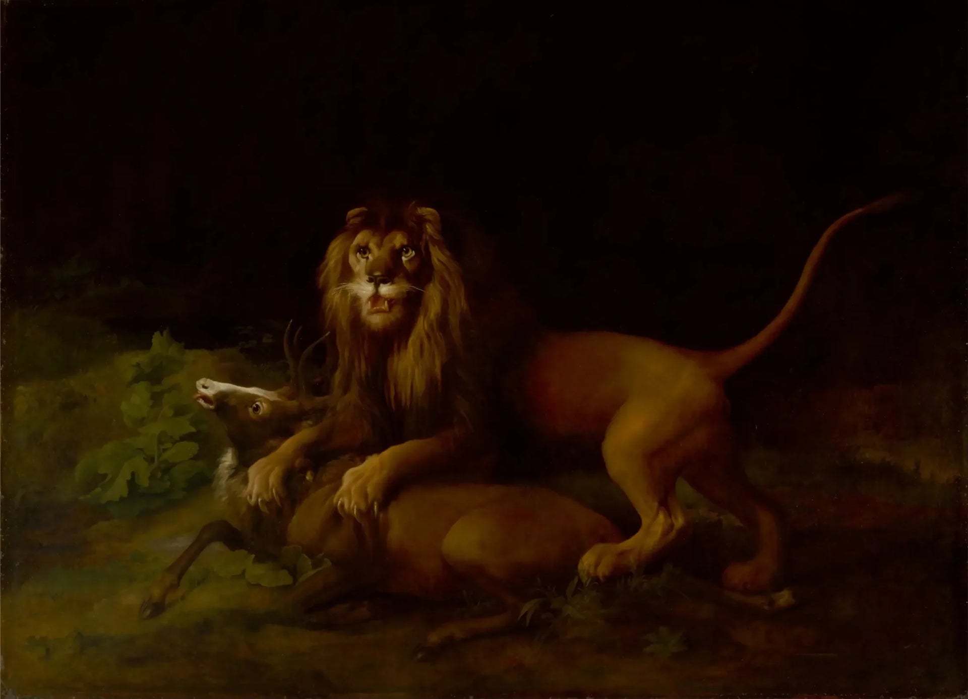 Un lion attaquant un cerf - George Stubbs image 1 copie peinte à la main à l’huile