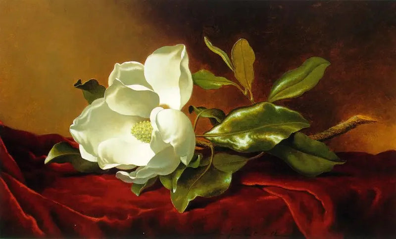 Un magnolia sur du velours rouge - Martin Johnson Heade