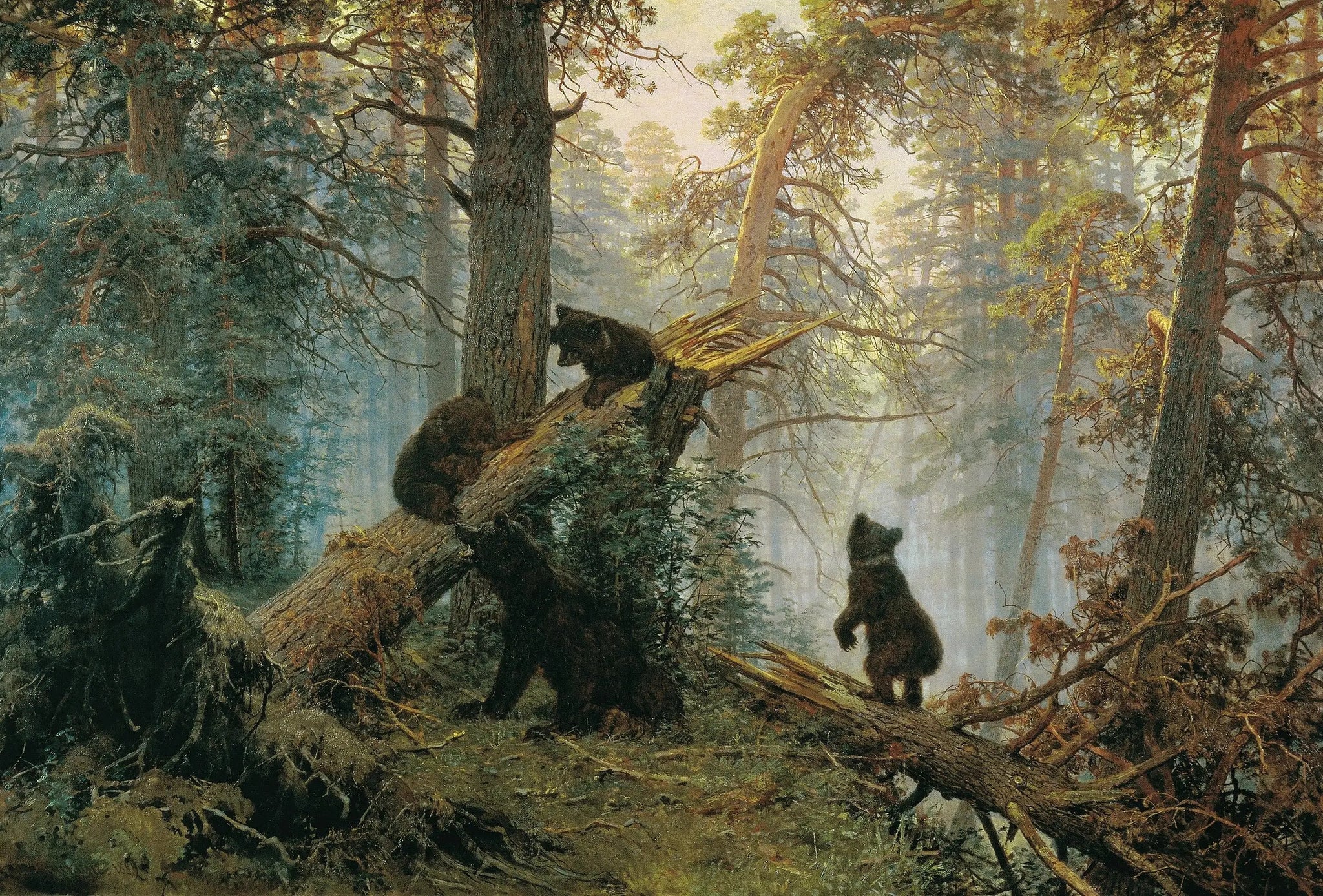Un matin dans une forêt de pins - Ivan Chichkine image 1 reproduction de peinture à l’huile