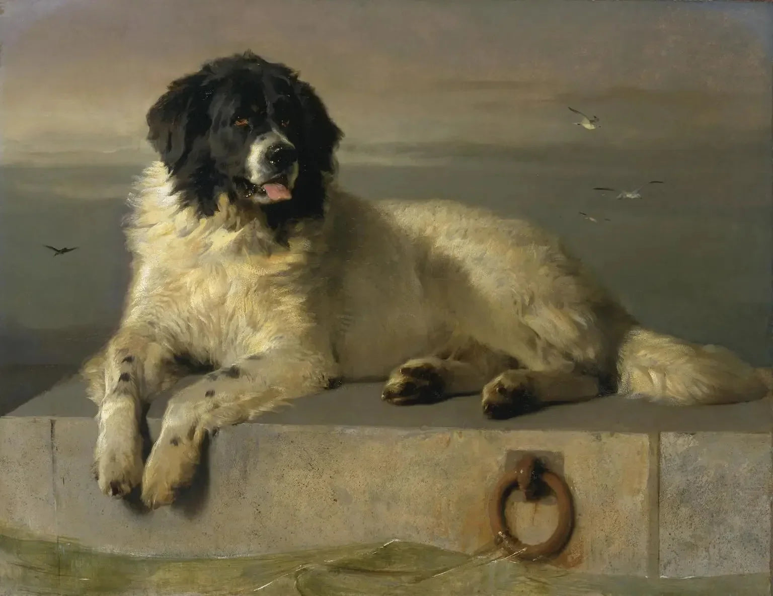 Un membre distingué de la Humane Society - Edwin Henry Landseer image 1 reproduction d’œuvre d’art à l’huile