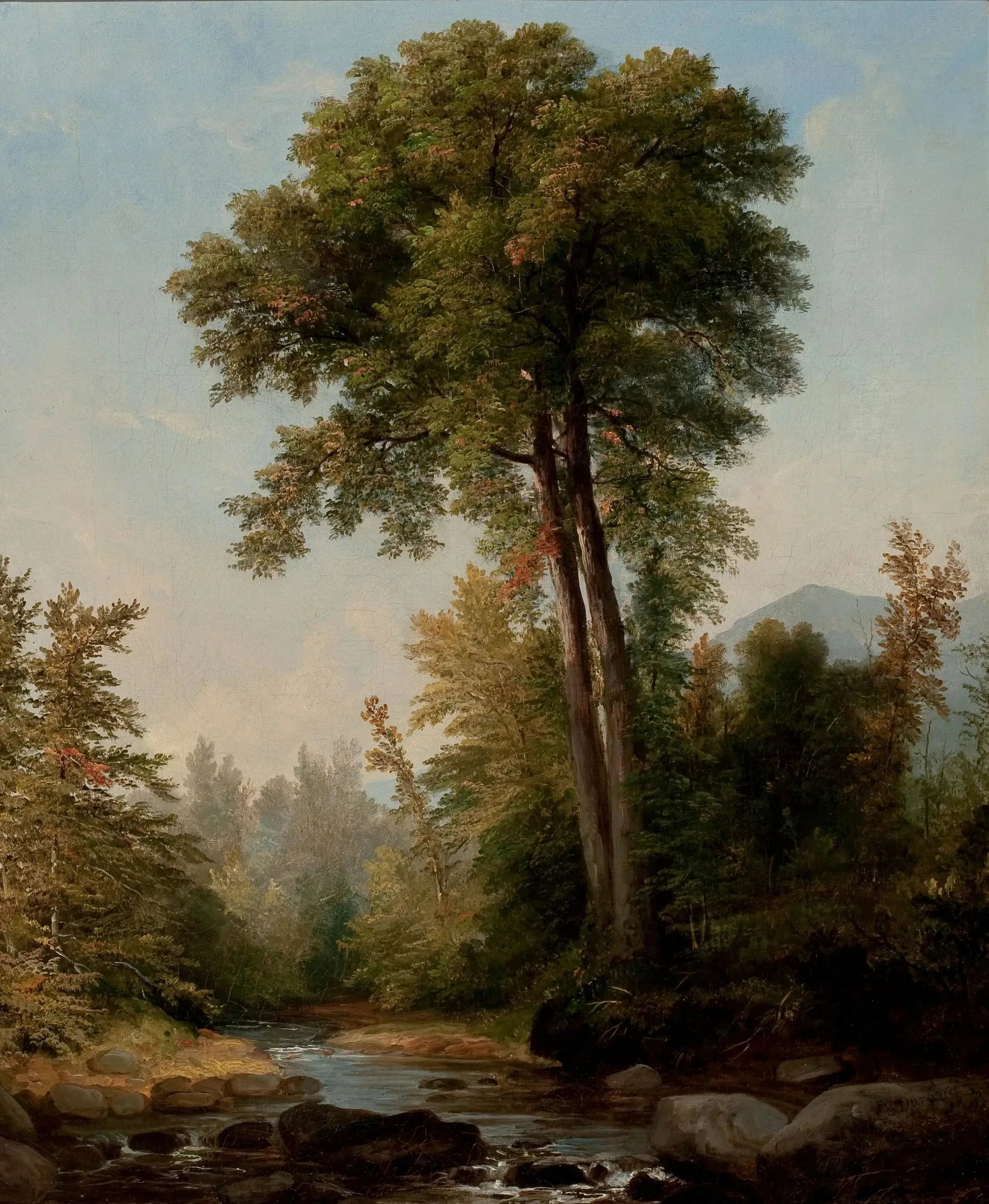 Un monarque naturel - Asher Brown Durand image 1 reproduction d’œuvre d’art à l’huile