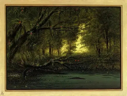 Un nid d'alligator - George Catlin image 1 tableau peint à l’huile sur toile