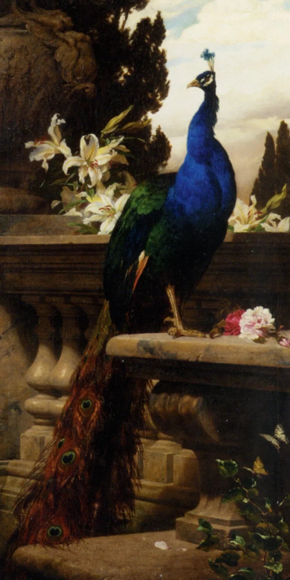 Un paon dans un paysage classique avec des lys et des roses - Gyula Benczúr image 1 copie de tableau peinte à la main