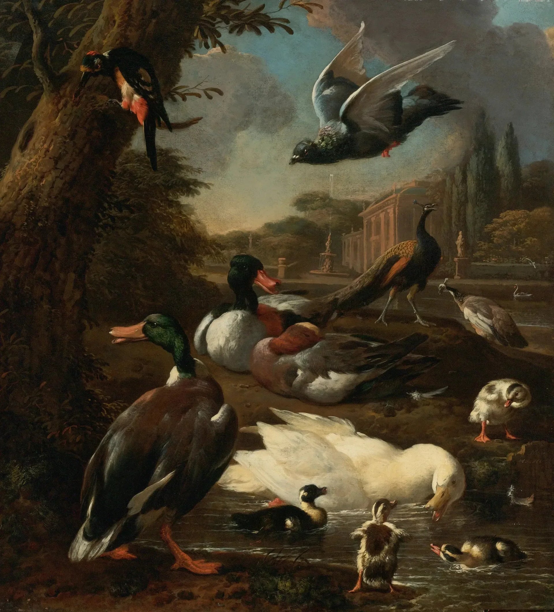 Un paon, un pigeon, des canards et d'autres oiseaux dans un jardin - Melchior de Hondecoeter image 1 tableau peint à l’huile sur toile