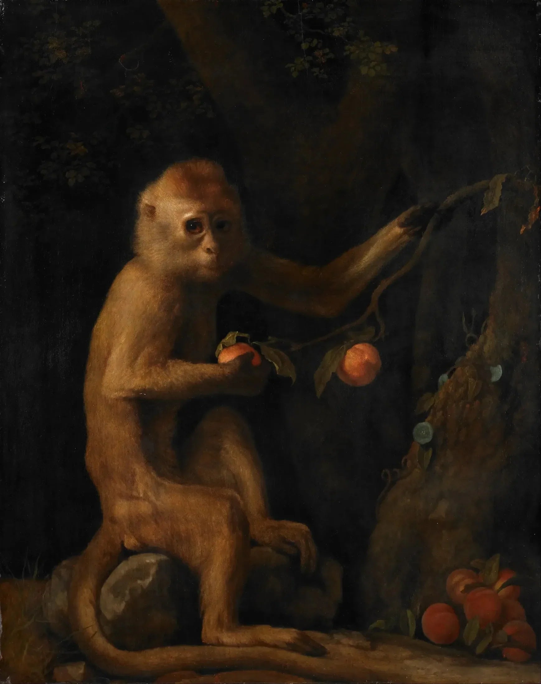 Un singe - George Stubbs image 1 copie peinte à la main à l’huile