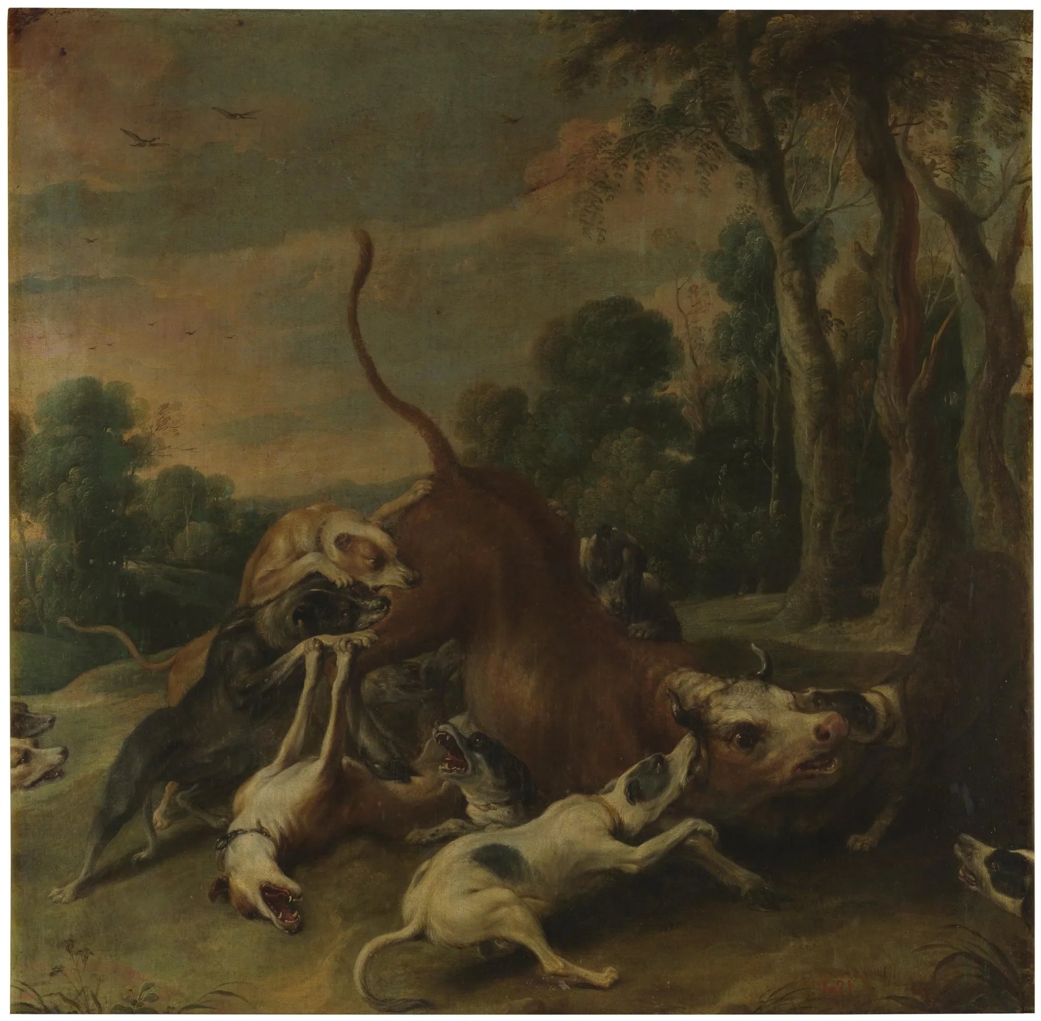Un taureau maîtrisé par des chiens - Frans Snyders image 1 reproduction artisanale de tableau