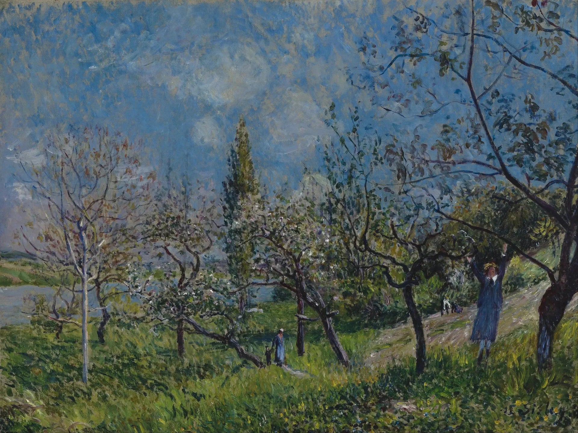 Un verger au printemps, Par - Alfred Sisley image 1 reproduction artisanale de tableau