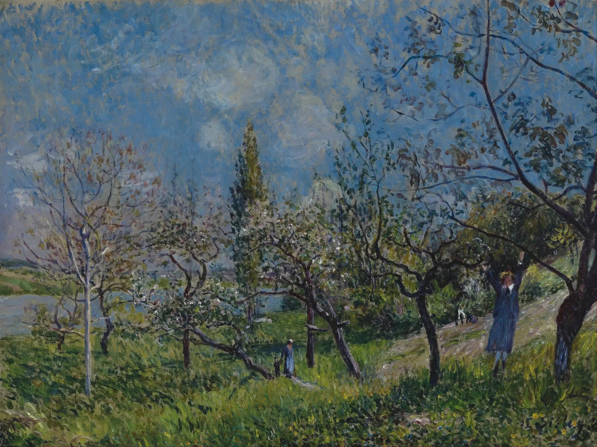 Un verger au printemps, Par - Alfred Sisley image 1 reproduction artisanale de tableau