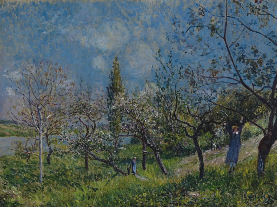 Un verger au printemps, Par - Alfred Sisley