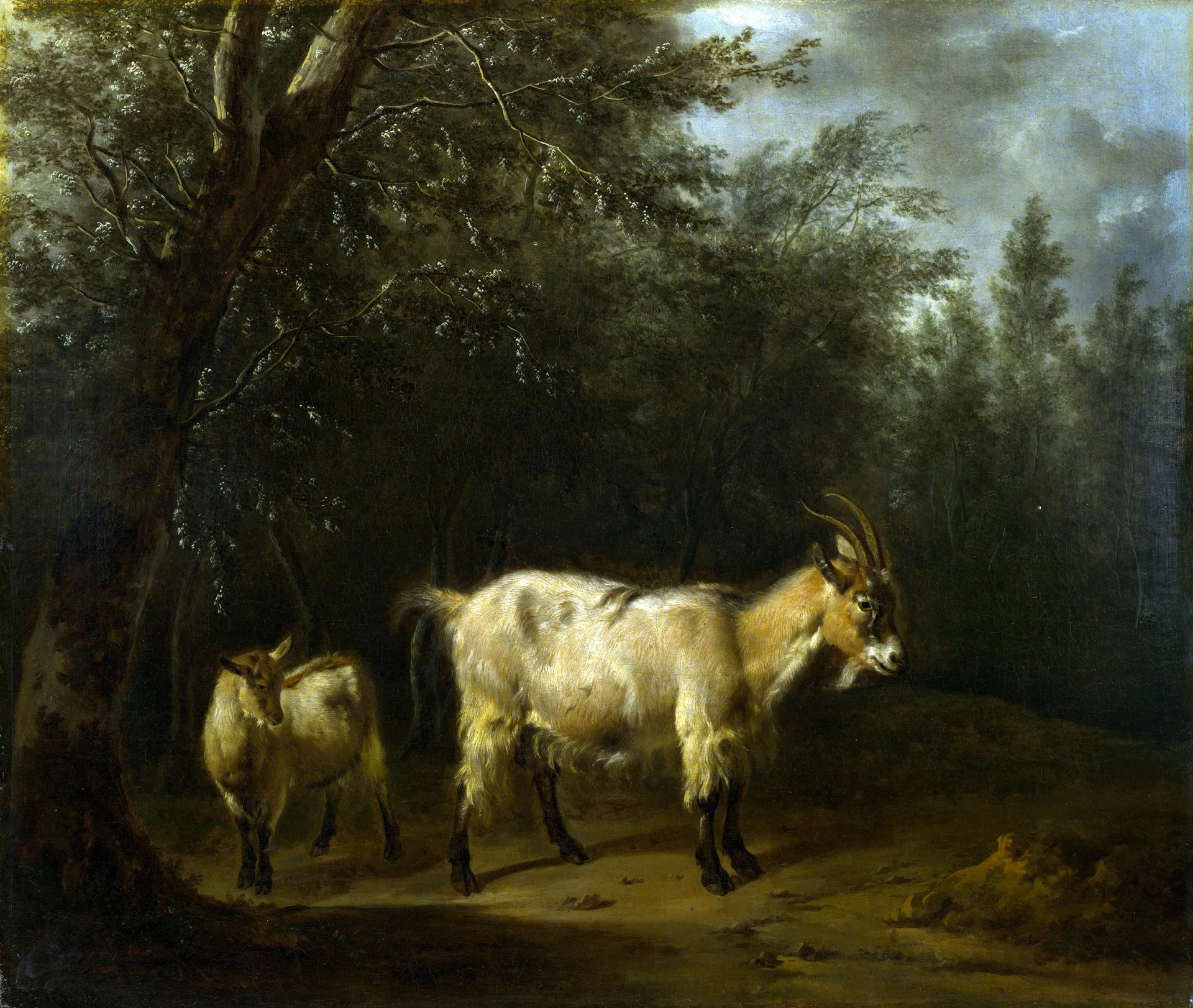 Une chèvre et un chevreau - Adriaen van de Velde image 1 copie de tableau peinte à la main