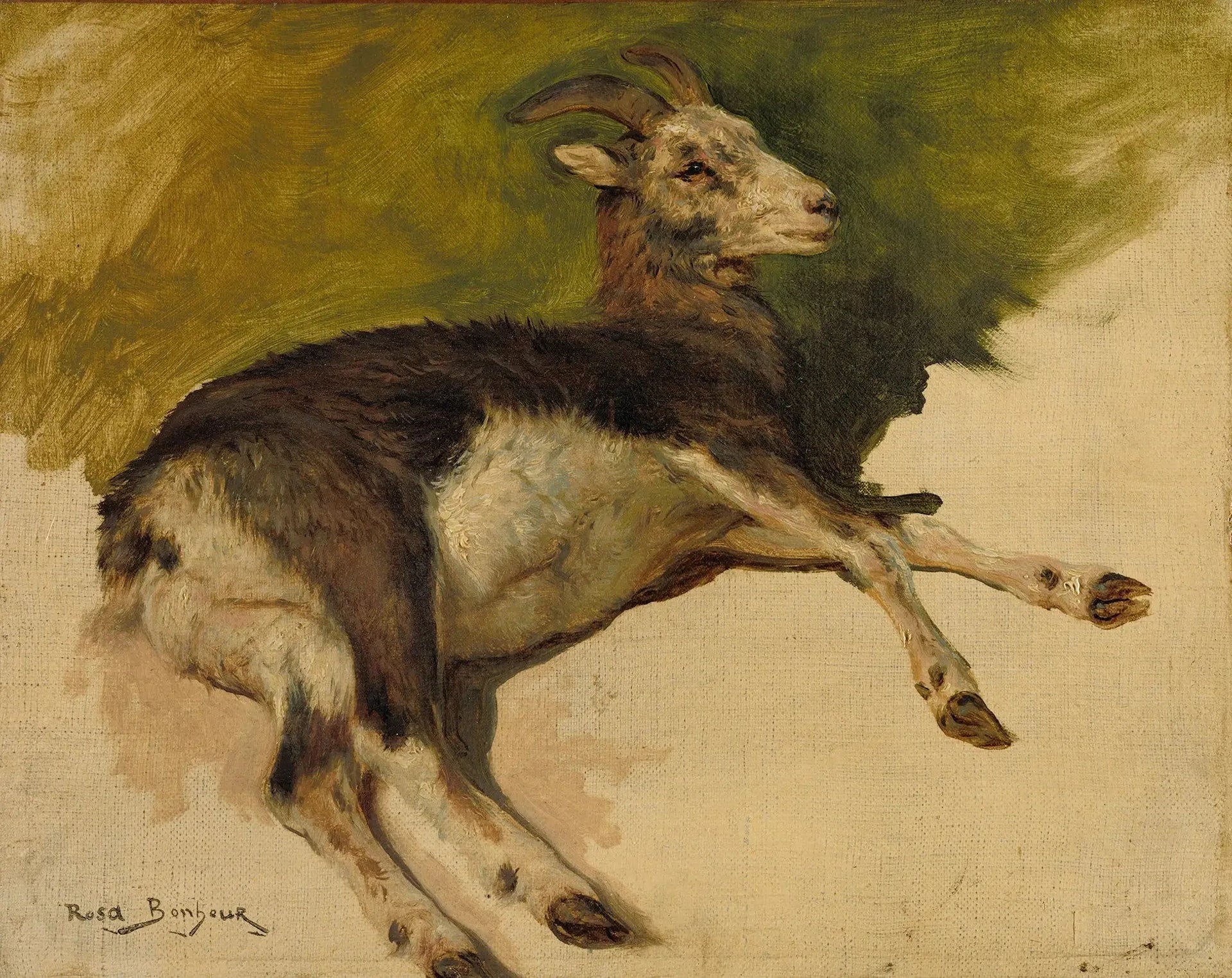 Une chèvre - Rosa Bonheur image 1 reproduction artisanale de tableau