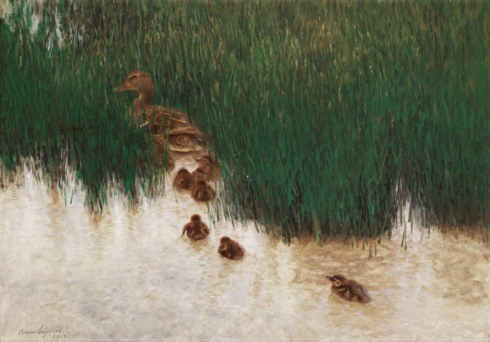 Une famille de canards parmi les roseaux - Bruno Liljefors image 1 copie peinte à la main à l’huile