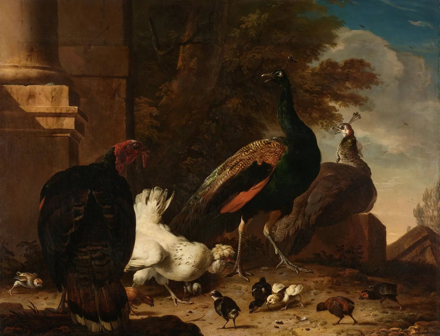 Une poule avec des paons et une dinde - Melchior de Hondecoeter