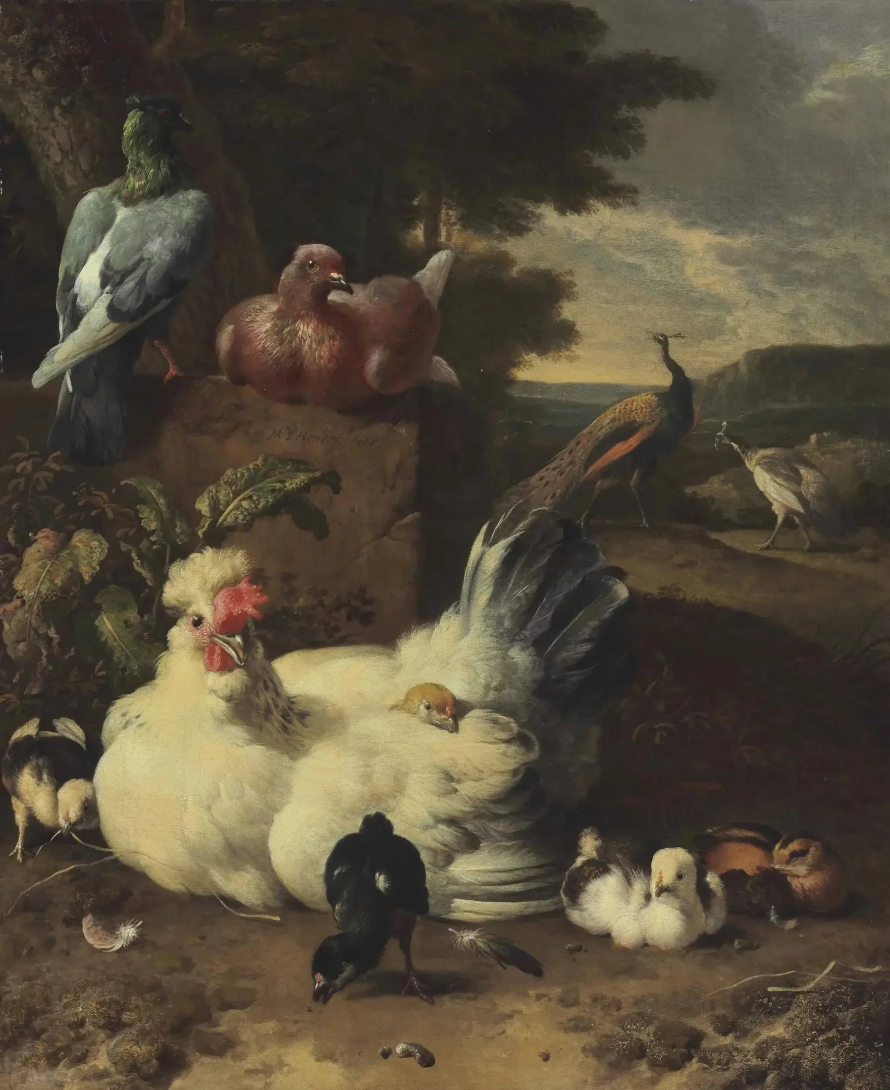 Une poule, des poussins, des colombes et des paons à côté d'un mur de pierre dans un paysage - Melchior de Hondecoeter image 1 reproduction réalisée par Alpha Reproduction
