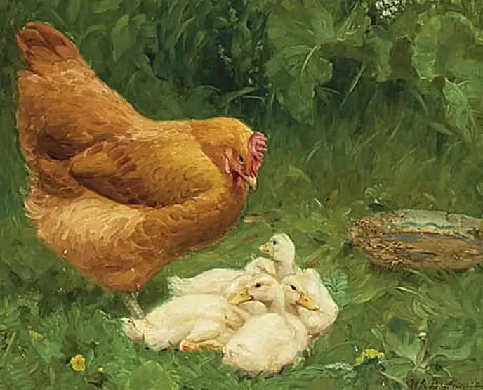 Une poule et quelques canetons. - H. A. Brendekilde image 1 reproduction d’œuvre d’art à l’huile