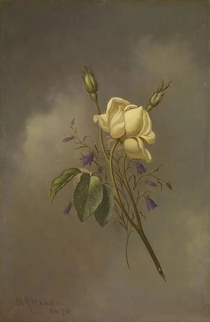 Une rose jaune contre un ciel nuageux - Martin Johnson Heade