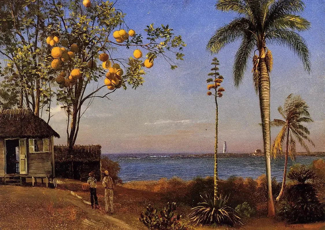 Une vue aux Bahamas, huile sur papier marouflé sur boa, 48,58 x 35,24 cm - Albert Bierstadt image 1 reproduction artisanale de tableau