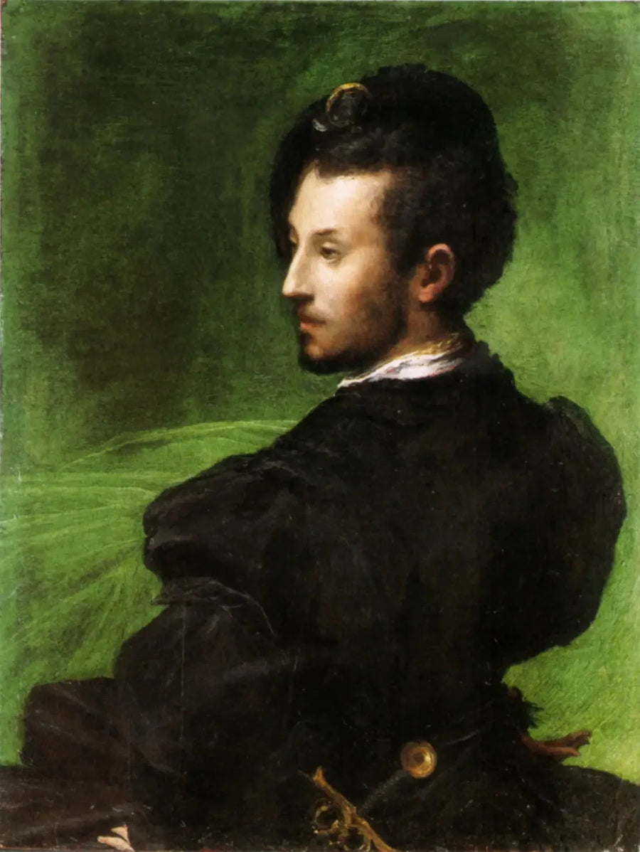 Uomo su sfondo verde - Parmigianino