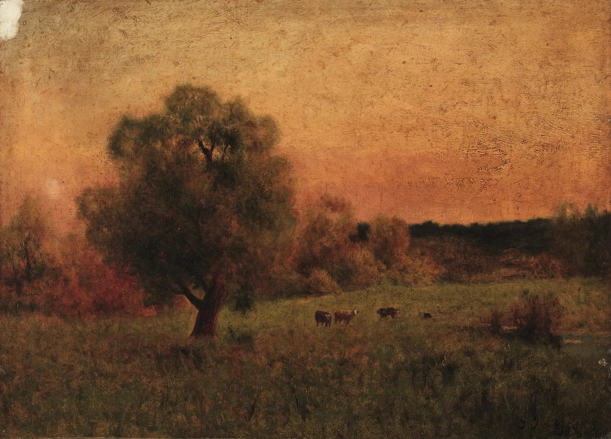 Vaches dans un champ - George Inness image 1 reproduction réalisée par Alpha Reproduction