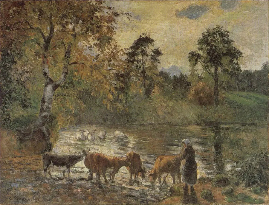 Vaches s'abreuvant dans l'étang de Montfoucault - Camille Pissarro