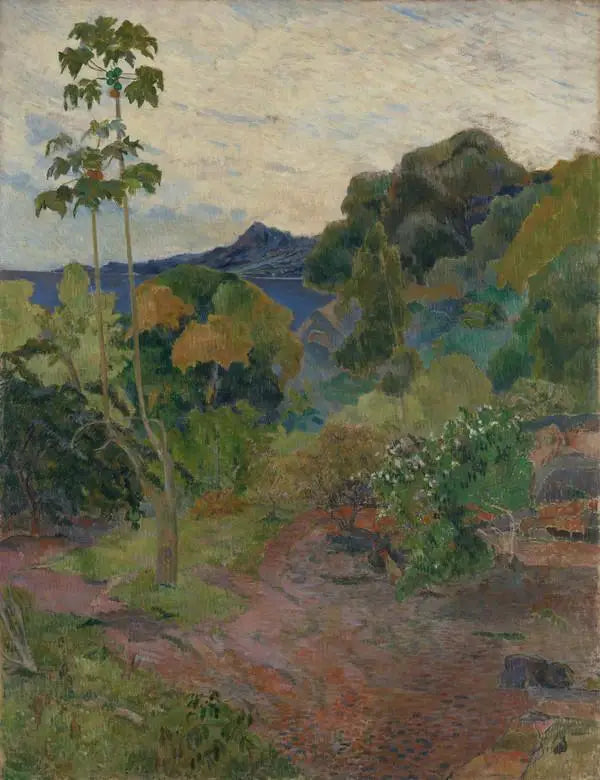 Végétation tropicale, Martinique - Paul Gauguin