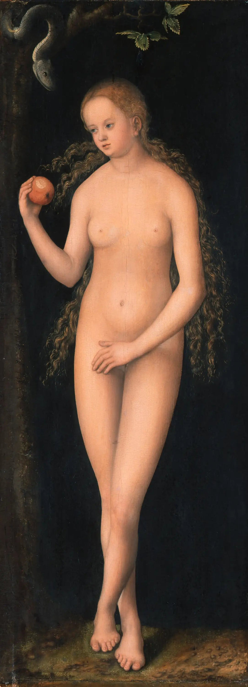 Veille - Lucas Cranach the Elder