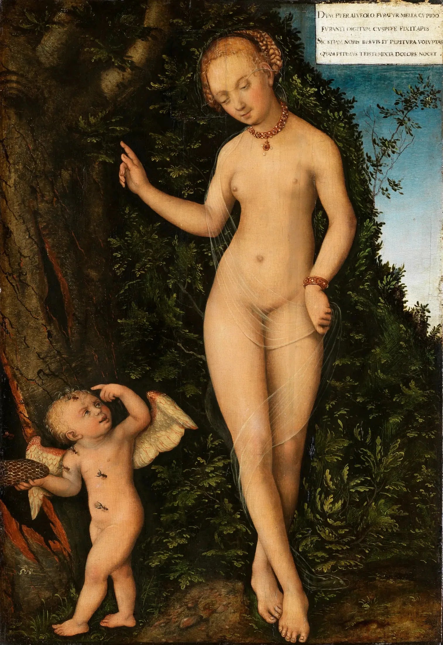 Vénus avec Cupidon le voleur de miel - Lucas Cranach the Elder image 1 tableau peint à l’huile sur toile