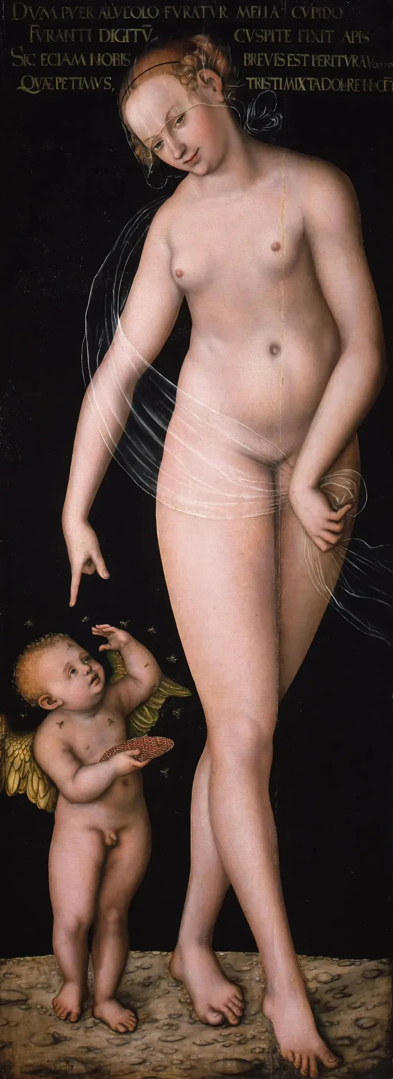 Vénus avec Cupidon le voleur de miel - Lucas Cranach the Elder image 1 reproduction artisanale de tableau