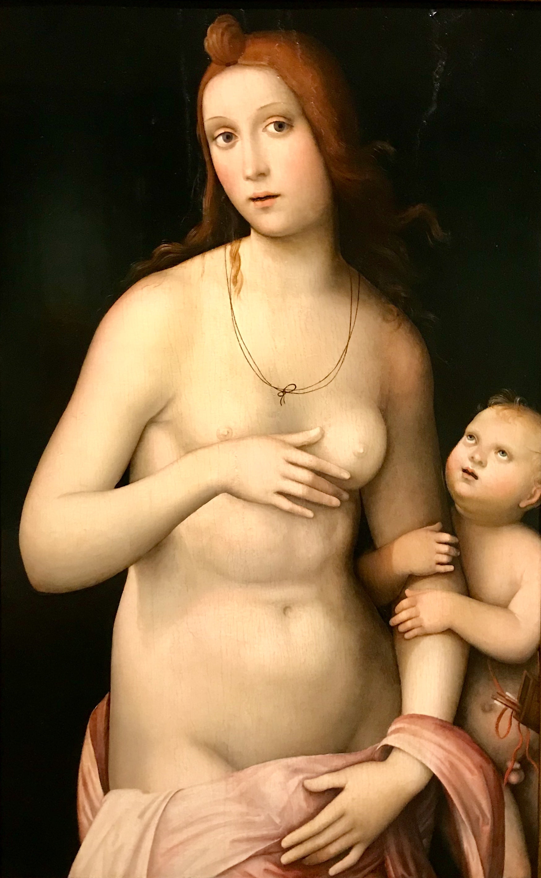 Vénus et Cupidon - Francesco Francia image 1 reproduction de peinture à l’huile