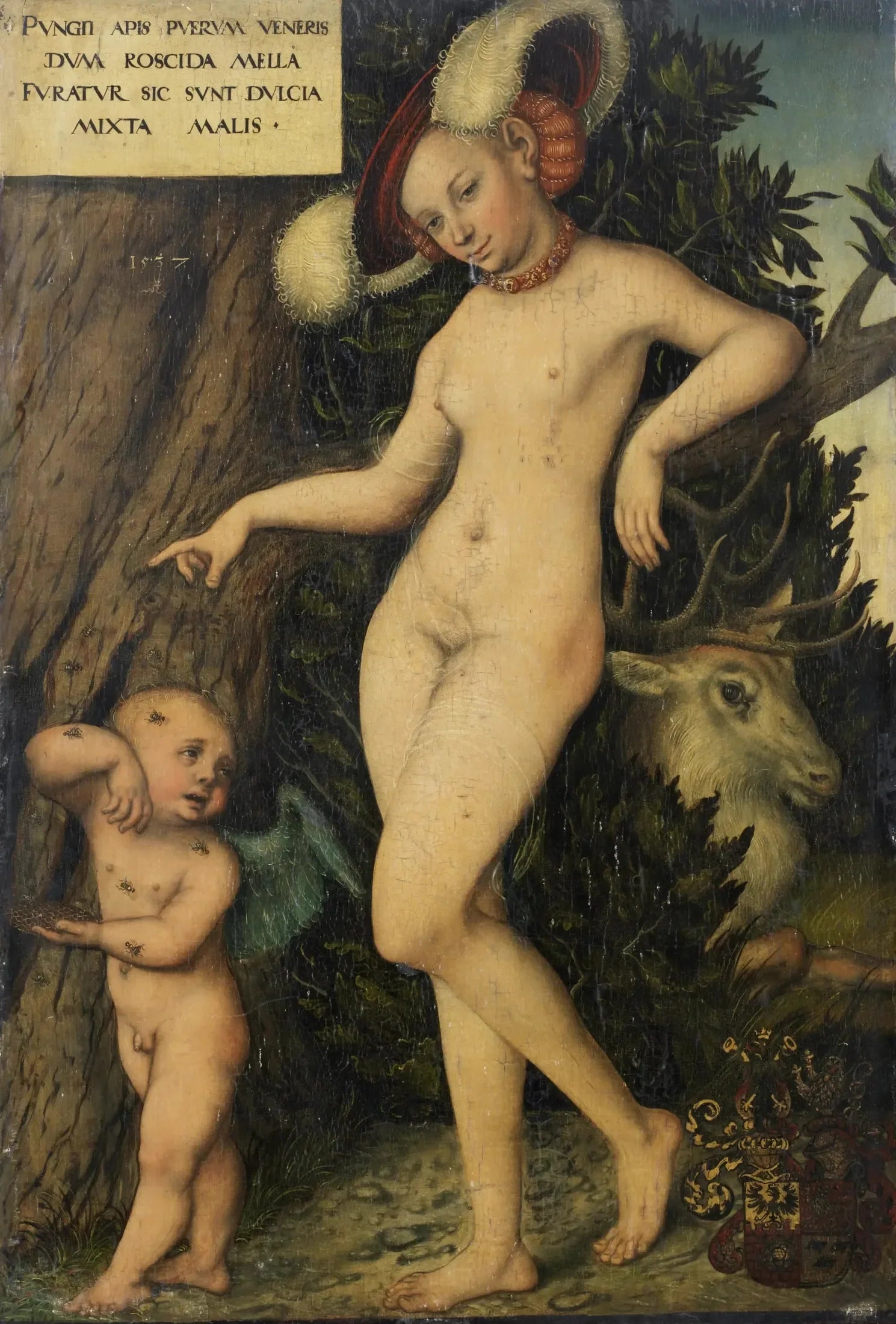 Vénus et Cupidon - Lucas Cranach the Elder image 1 reproduction artisanale de tableau