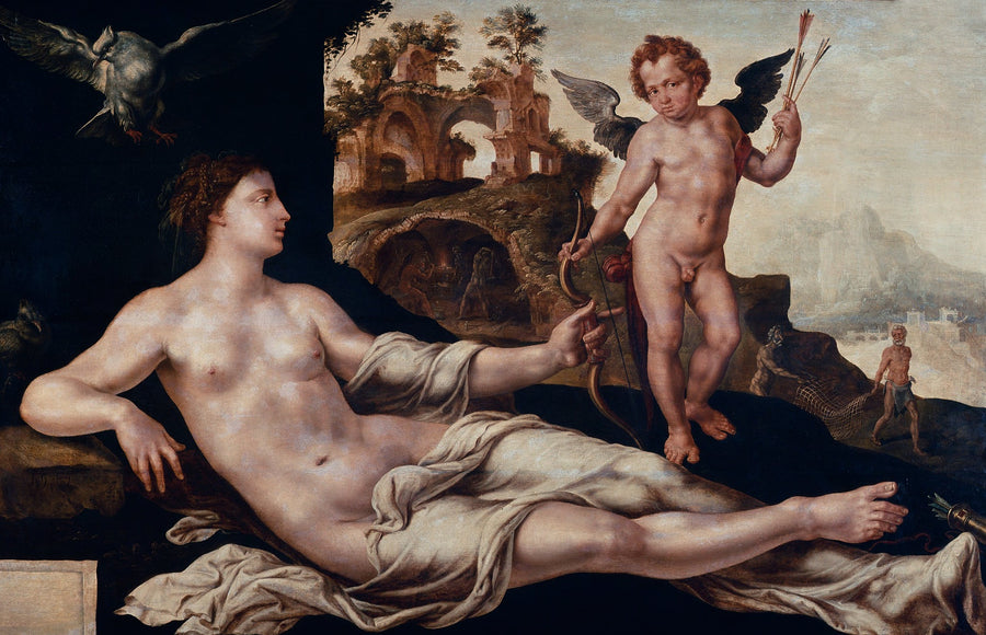Vénus et Cupidon - Maarten van Heemskerck