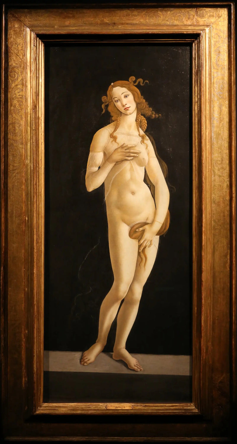 Vénus pudique - Sandro Botticelli