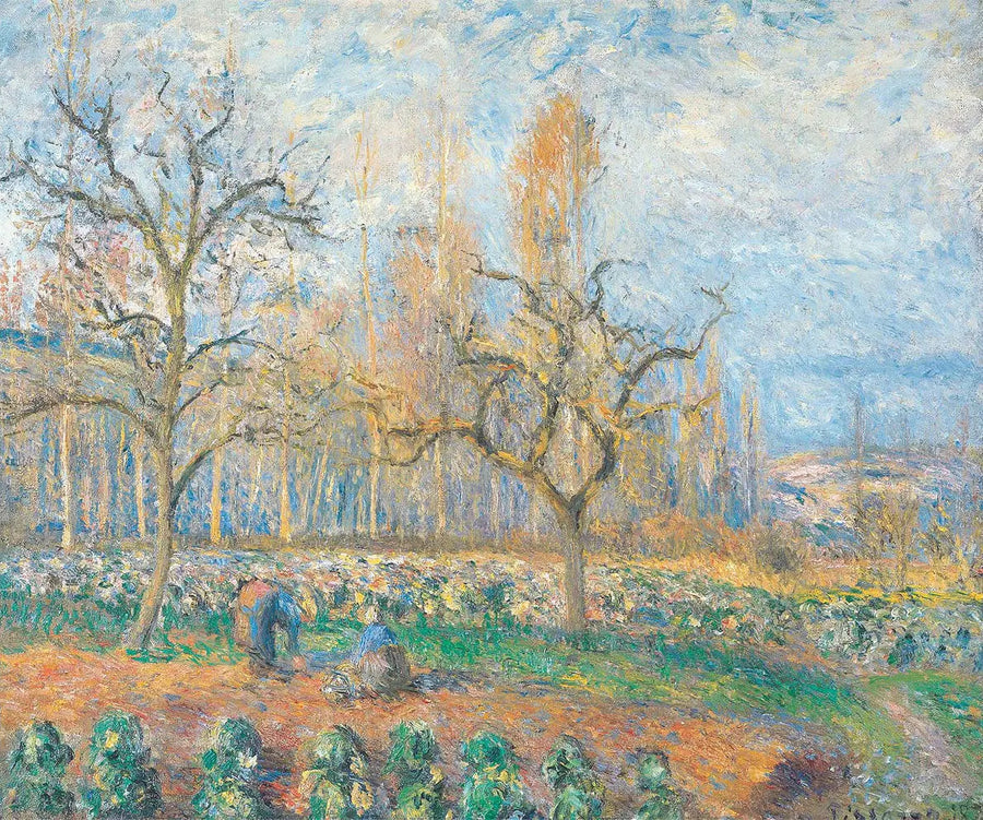 Verger à Pontoise, soleil couchant - Camille Pissarro