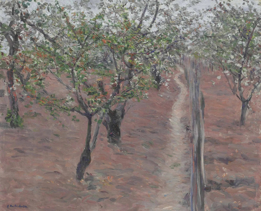 Verger, arbres en fleurs, Petit Gennevilliers - Gustave Caillebotte