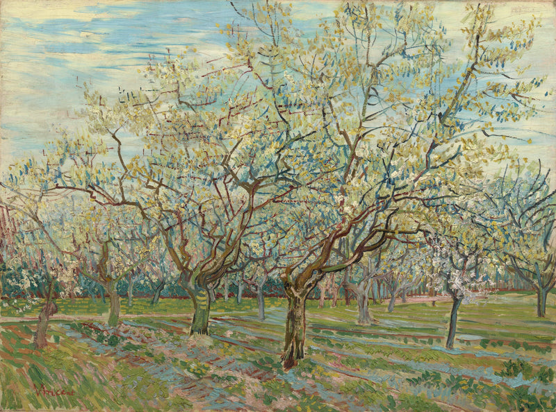 Білий сад - Vincent van Gogh