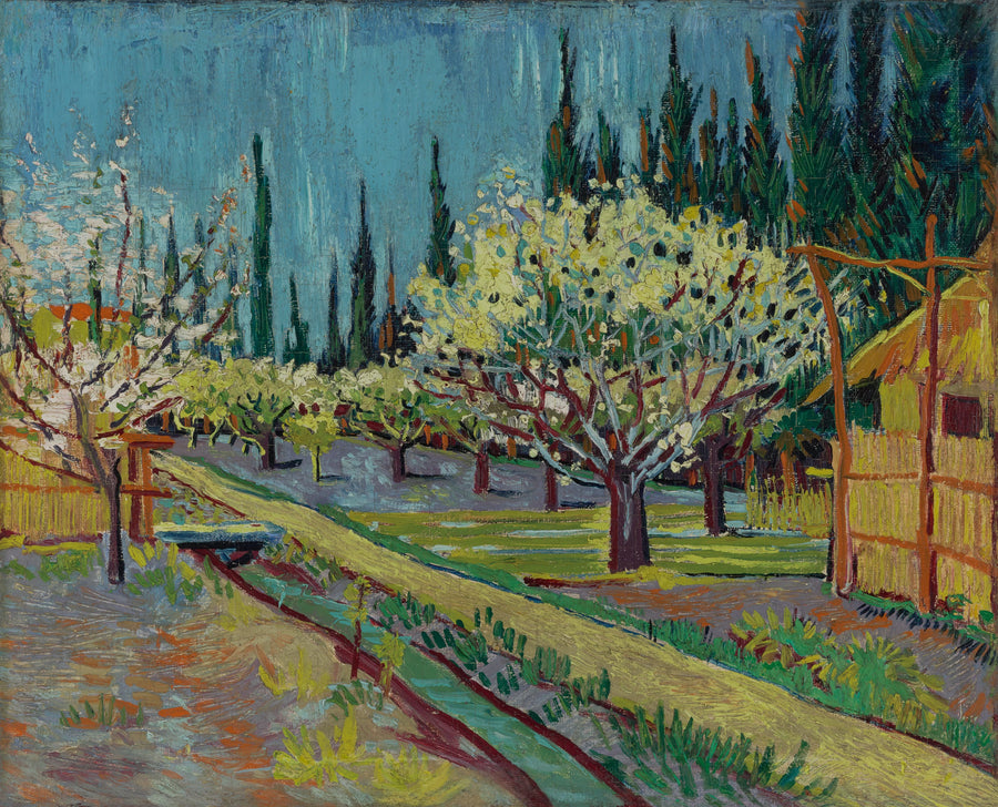 Квітучий сад, оточений кипарисами - Vincent van Gogh