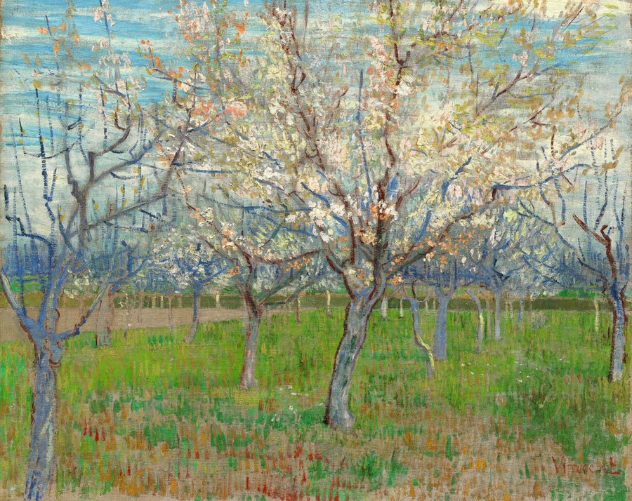Рожевий сад - Vincent van Gogh