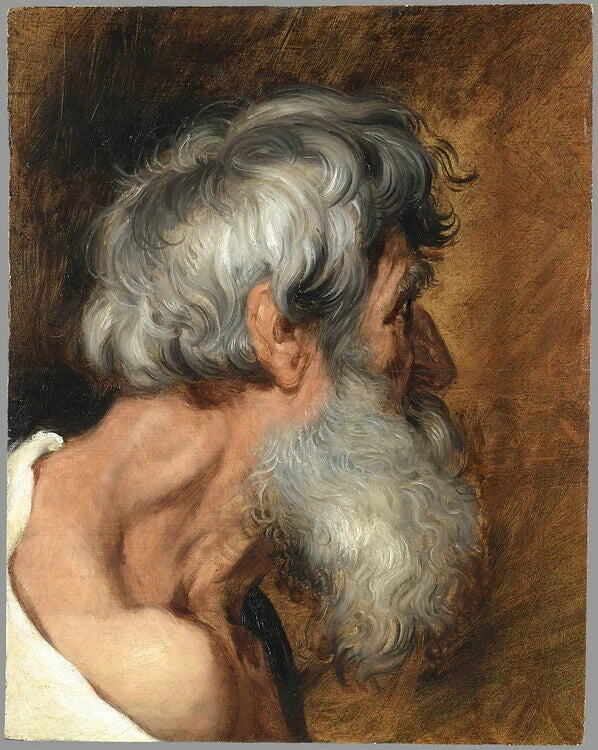 Vieillard de profil ; tête d'étude - Peter Paul Rubens