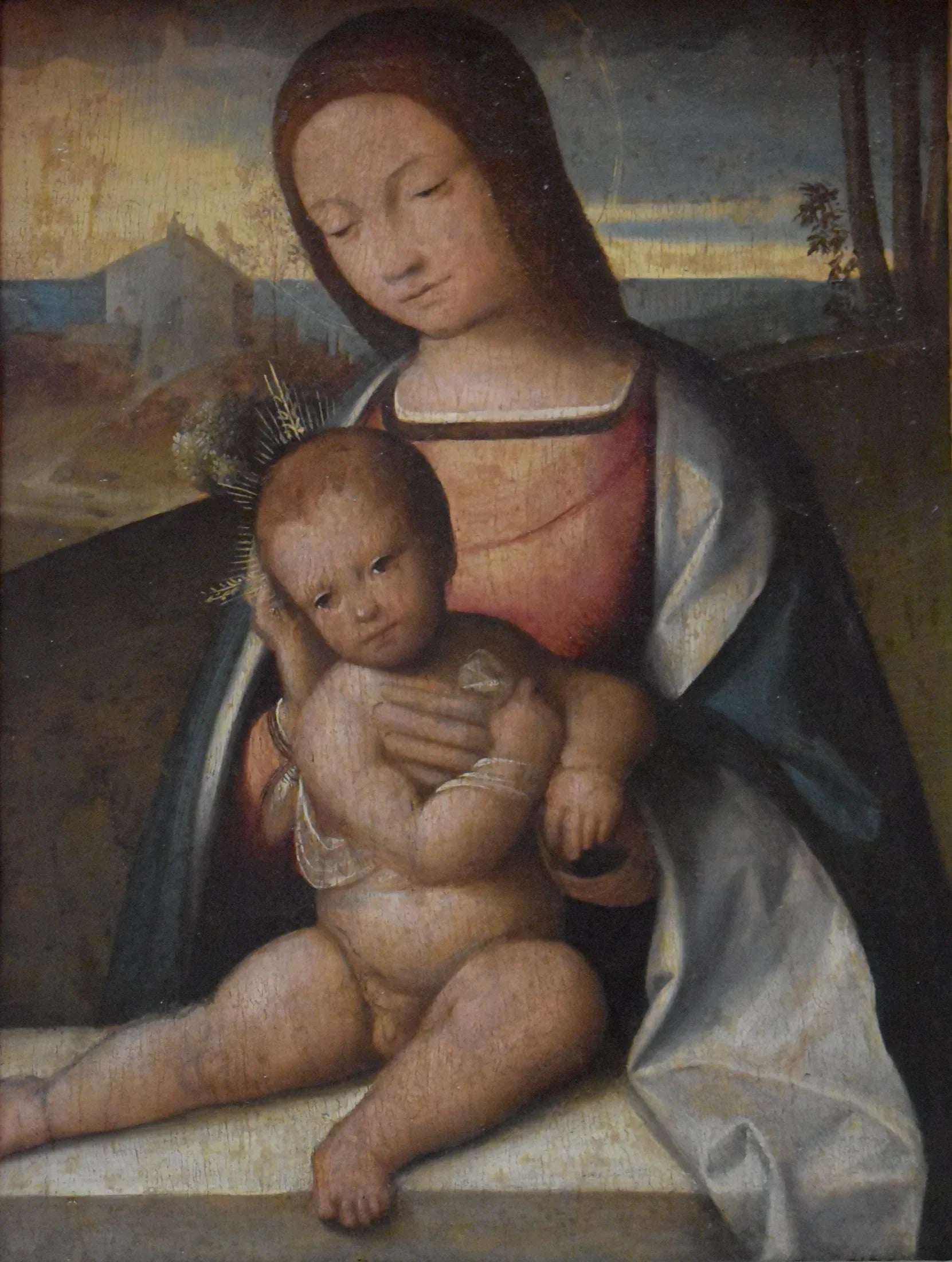 Vierge à l'enfant (855.3.9) - Benvenuto Tisi image 1 tableau peint à l’huile sur toile